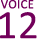 VOICE　12
