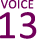 VOICE　13