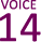 VOICE　13